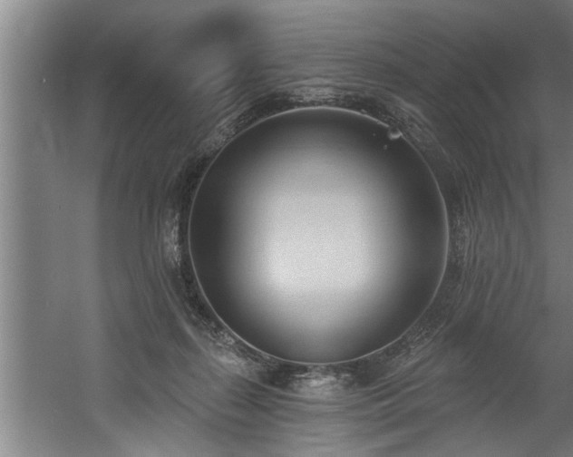 X0000060560267200511070955