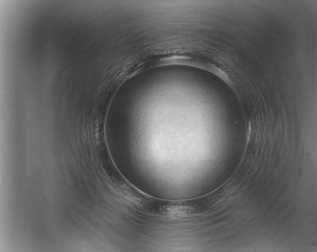 X0000060560268200511070955