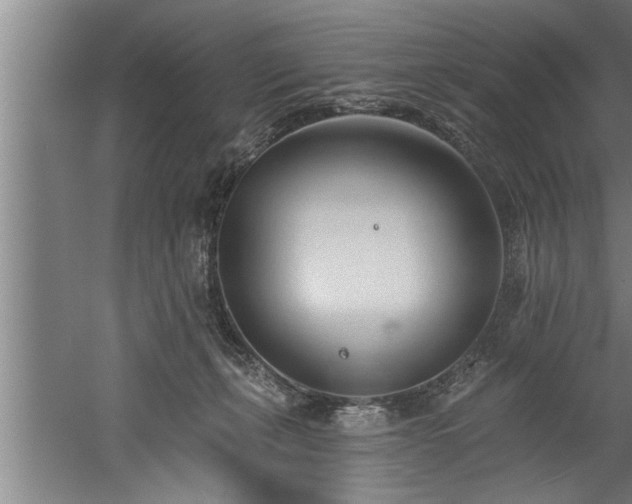 X0000060560271200511070956