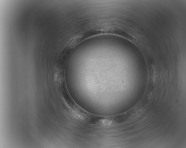 X0000060560272200511070956