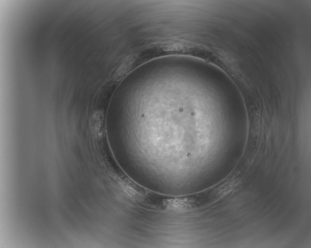 X0000060560273200511070956