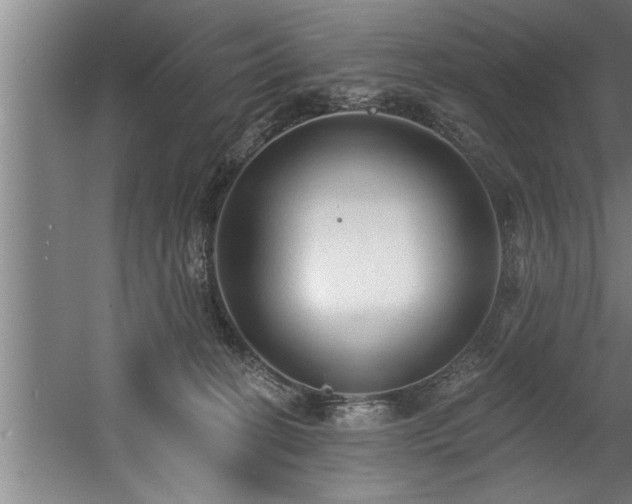 X0000060560274200511070956