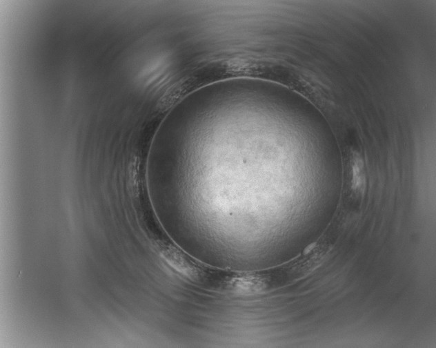 X0000060560275200511070956