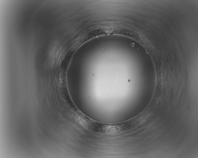 X0000060560277200511070956