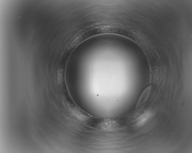 X0000060560278200511070956