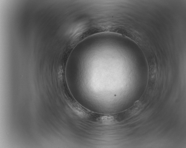 X0000060560279200511070956