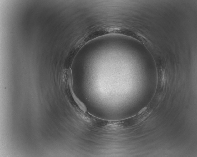 X0000060560280200511070956