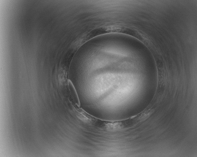 X0000060560281200511070956