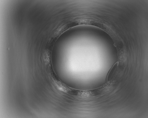 X0000060560282200511070956