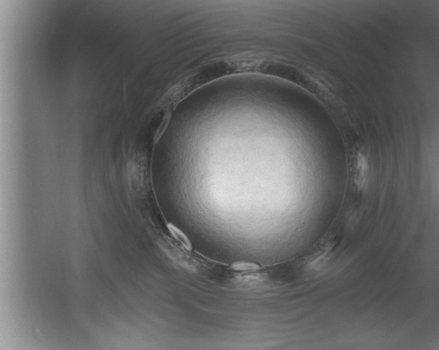 X0000060560283200511070956