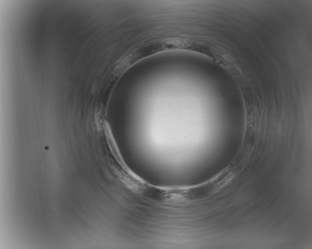 X0000060560285200511070956