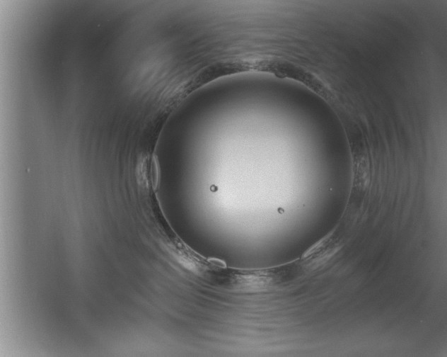 X0000060560286200511070956