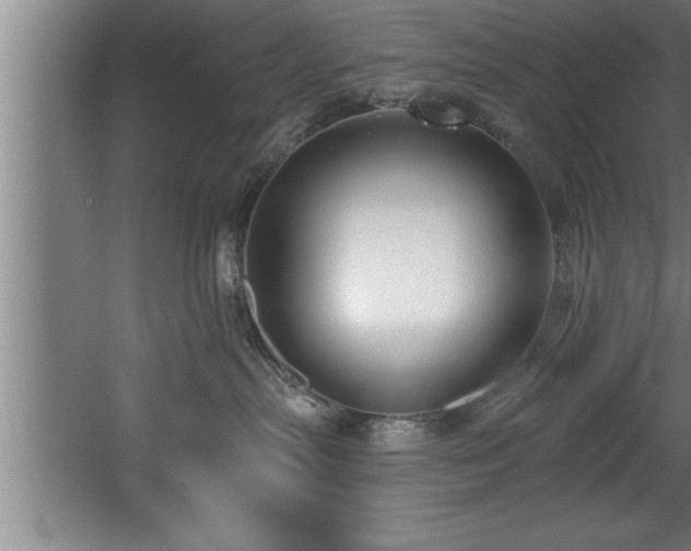 X0000060560287200511070956