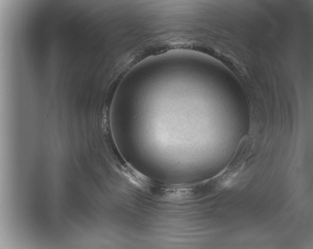 X0000060560288200511070956