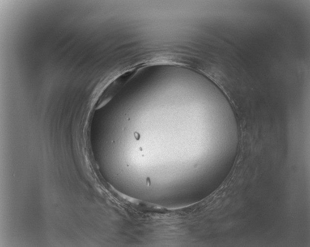 X0000060560289200511070955