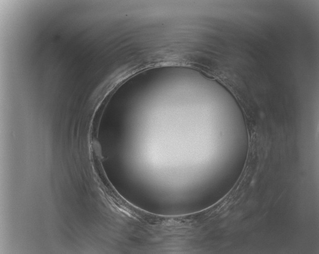 X0000060560290200511070955