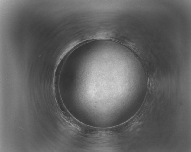 X0000060560292200511070955