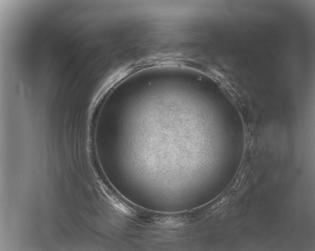 X0000060560293200511070955