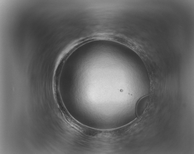 X0000060560294200511070955