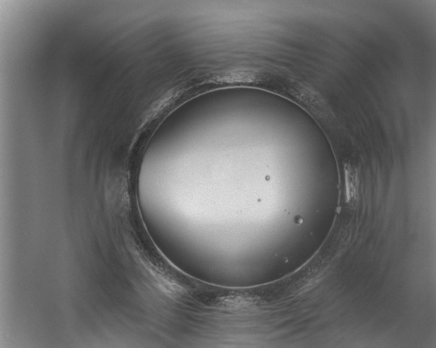 X0000060560300200511070955