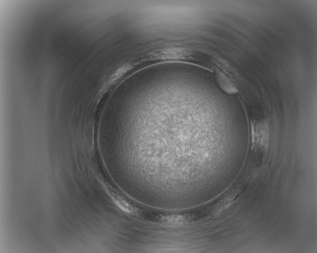 X0000060560301200511070955