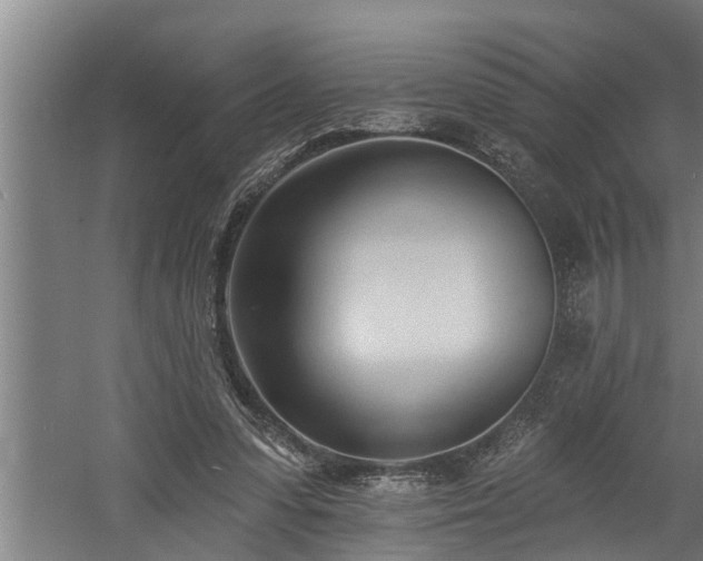 X0000060560303200511070955