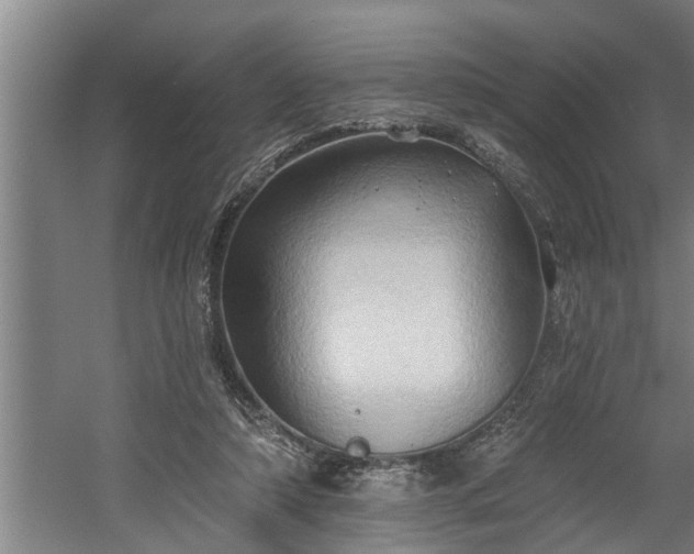 X0000060560306200511070955