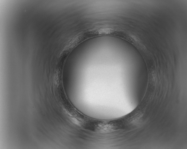 X0000060560311200511070955