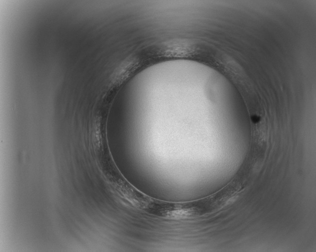 X0000060560312200511070955