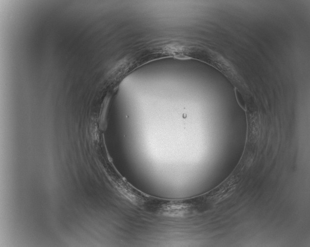 X0000060560313200511070955