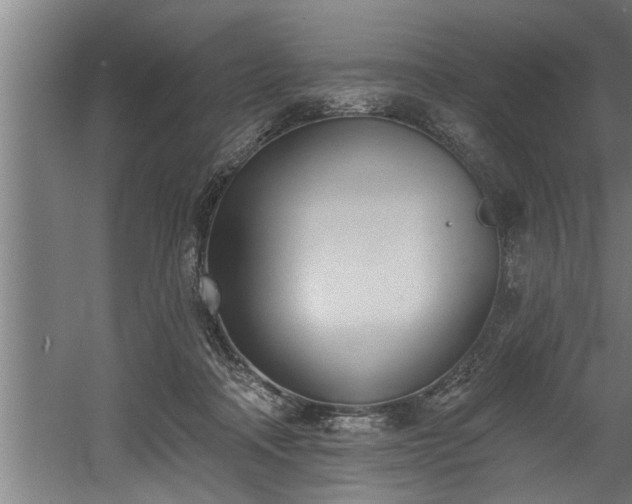 X0000060560314200511070955