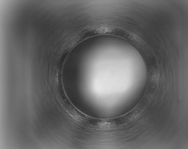 X0000060560315200511070955