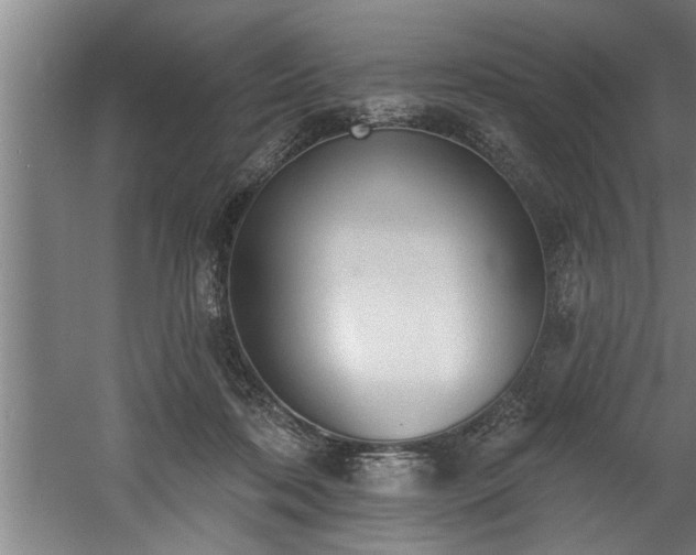 X0000060560316200511070955