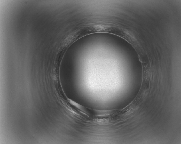 X0000060560317200511070954