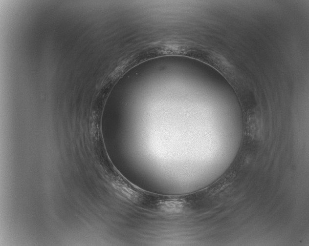 X0000060560318200511070954