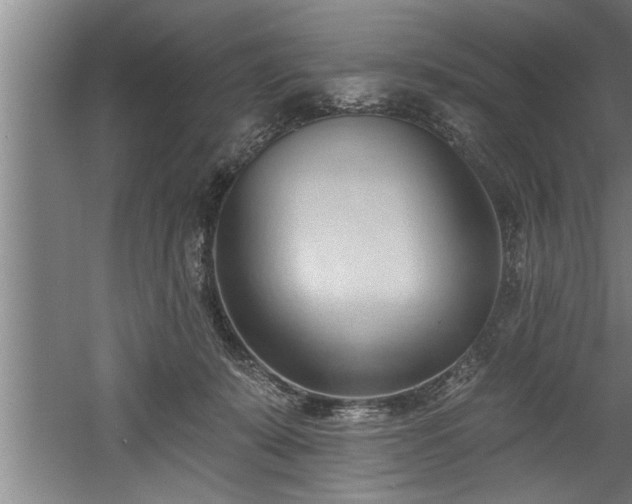 X0000060560319200511070954