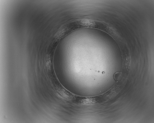 X0000060560320200511070954