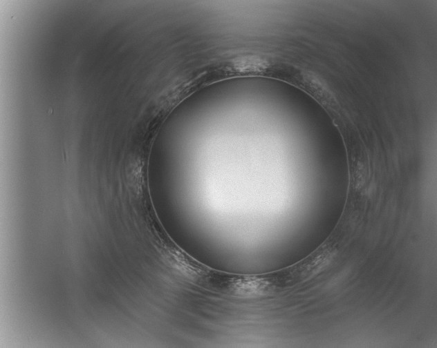 X0000060560321200511070954