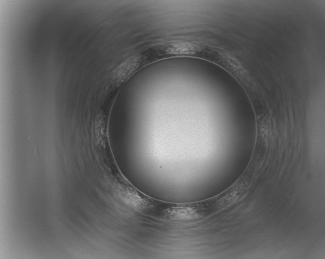 X0000060560322200511070954