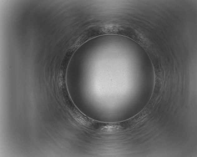 X0000060560323200511070954