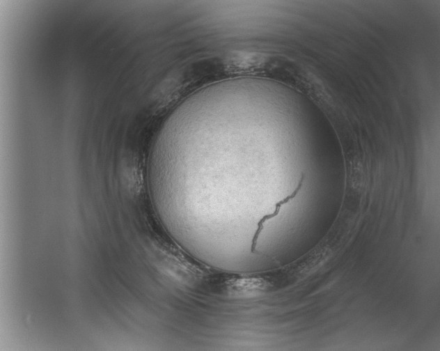 X0000060560324200511070954