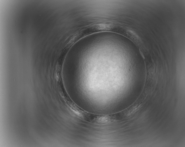 X0000060560325200511070954