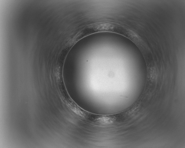 X0000060560326200511070954