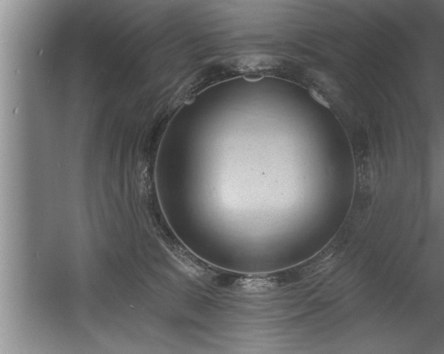 X0000060560327200511070954