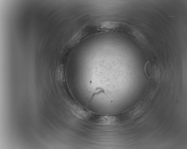 X0000060560328200511070954