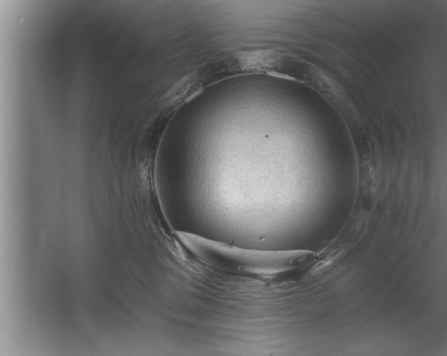 X0000060560329200511070954