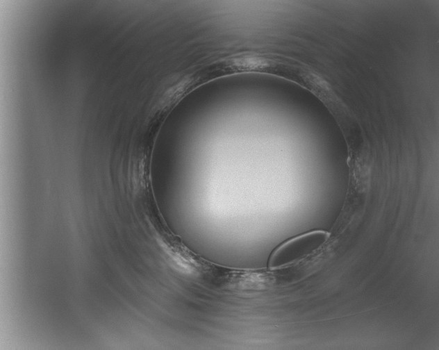 X0000060560330200511070954