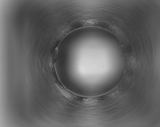 X0000060560331200511070954