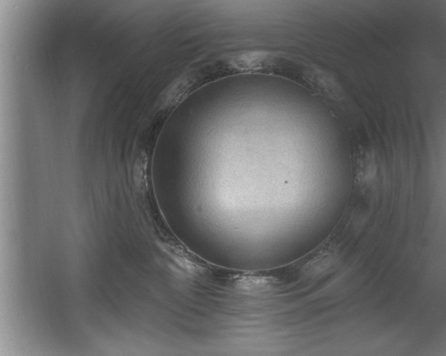 X0000060560332200511070954