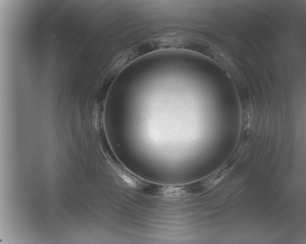 X0000060560333200511070954